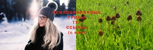 Альфа ПВП Вязники