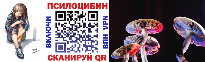 Галлюциногенные грибы мицелий наркотики Ковров