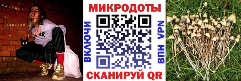 Псилоцибиновые грибы ЛСД Ковров
